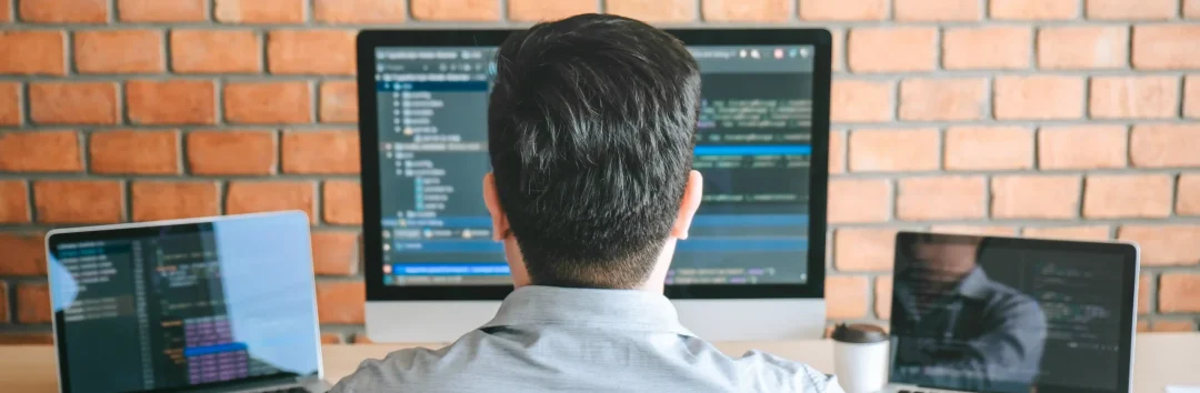 Mastering Software Guides