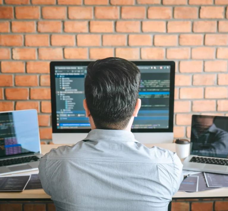 Mastering Software Guides
